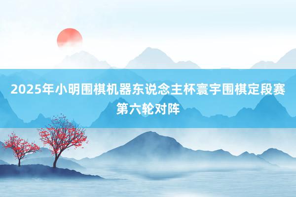 2025年小明围棋机器东说念主杯寰宇围棋定段赛第六轮对阵