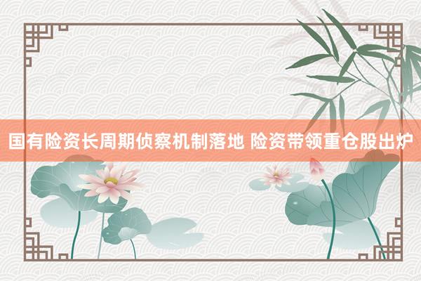 国有险资长周期侦察机制落地 险资带领重仓股出炉