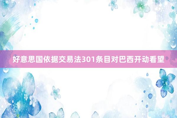 好意思国依据交易法301条目对巴西开动看望
