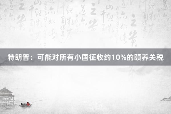 特朗普：可能对所有小国征收约10%的颐养关税