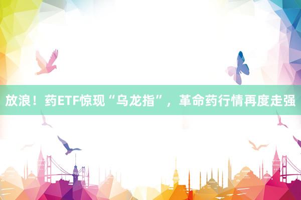 放浪！药ETF惊现“乌龙指”，革命药行情再度走强