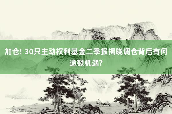 加仓! 30只主动权利基金二季报揭晓调仓背后有何逾额机遇?