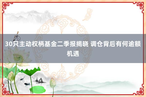 30只主动权柄基金二季报揭晓 调仓背后有何逾额机遇