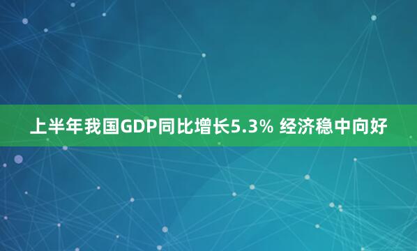 上半年我国GDP同比增长5.3% 经济稳中向好