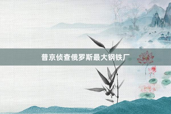 普京侦查俄罗斯最大钢铁厂
