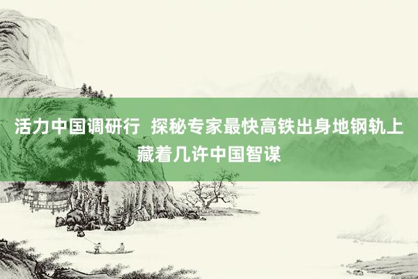 活力中国调研行  探秘专家最快高铁出身地钢轨上藏着几许中国智谋
