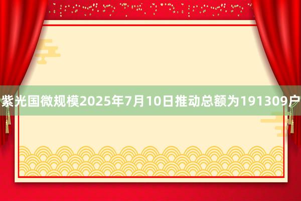 紫光国微规模2025年7月10日推动总额为191309户