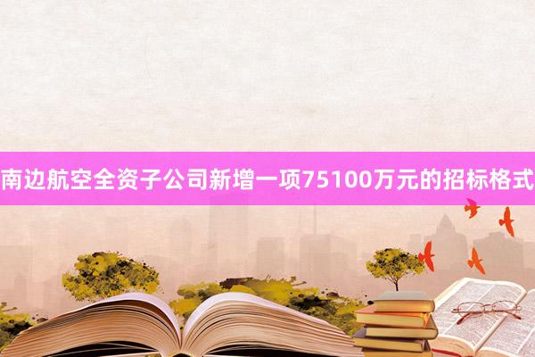 南边航空全资子公司新增一项75100万元的招标格式