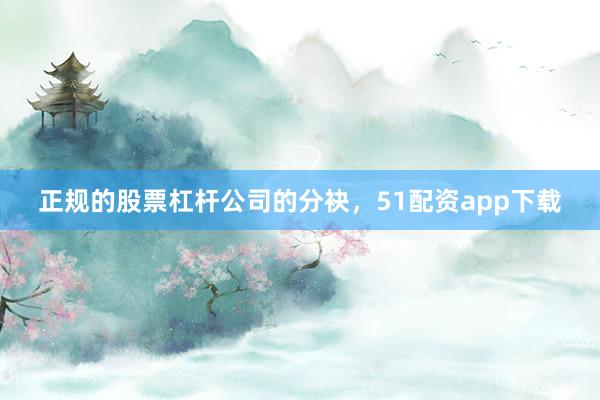 正规的股票杠杆公司的分袂，51配资app下载