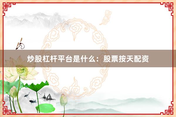 炒股杠杆平台是什么：股票按天配资