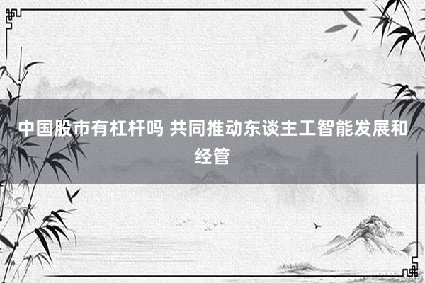 中国股市有杠杆吗 共同推动东谈主工智能发展和经管