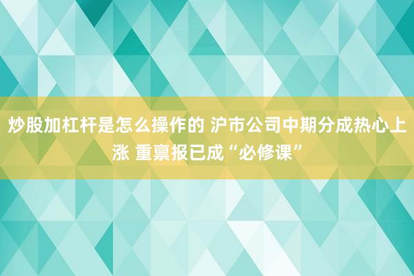 炒股加杠杆是怎么操作的 沪市公司中期分成热心上涨 重禀报已成“必修课”