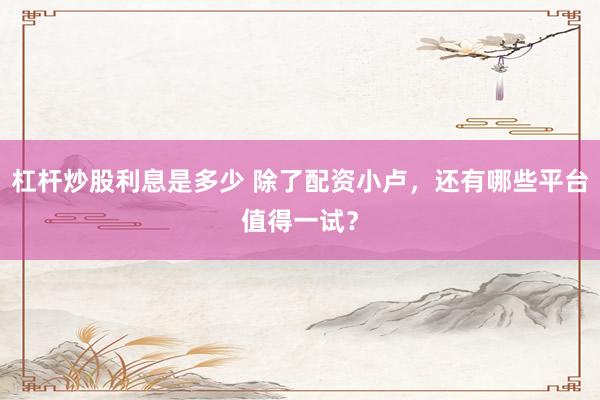 杠杆炒股利息是多少 除了配资小卢，还有哪些平台值得一试？
