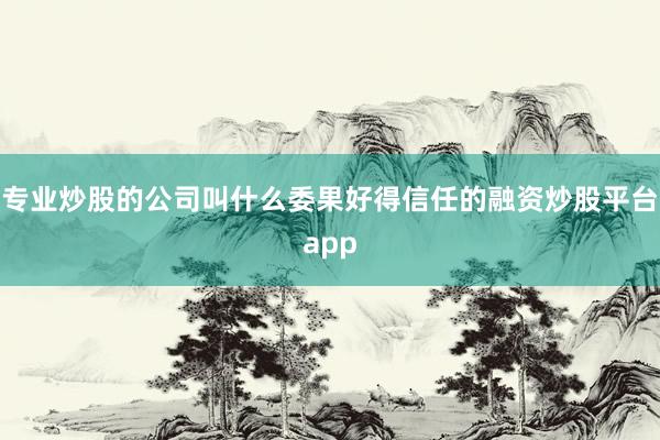 专业炒股的公司叫什么委果好得信任的融资炒股平台app