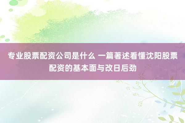 专业股票配资公司是什么 一篇著述看懂沈阳股票配资的基本面与改日后劲