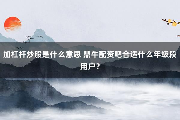 加杠杆炒股是什么意思 鼎牛配资吧合适什么年级段用户?