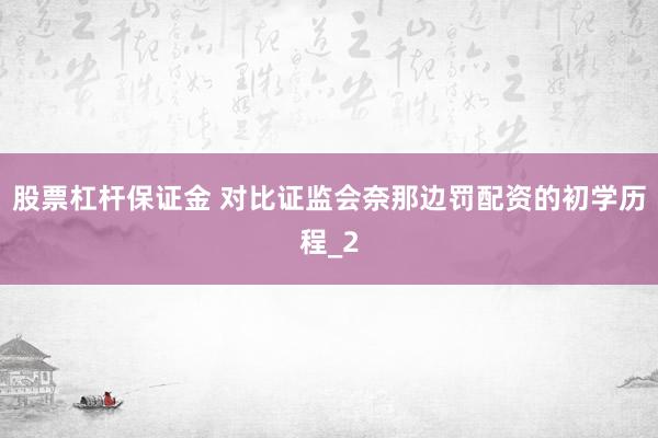 股票杠杆保证金 对比证监会奈那边罚配资的初学历程_2