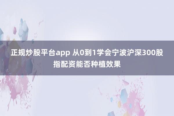 正规炒股平台app 从0到1学会宁波沪深300股指配资能否种植效果